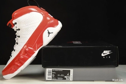 Jordan 9 Air 302370-160 1009